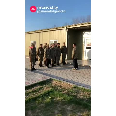 @tolgatas