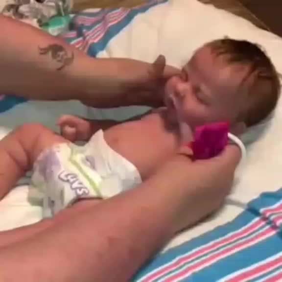@evedrake61
