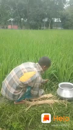 @Guru Raju