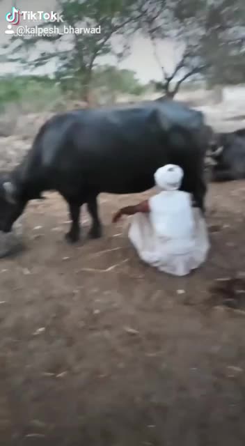 @D.K.ભુવા