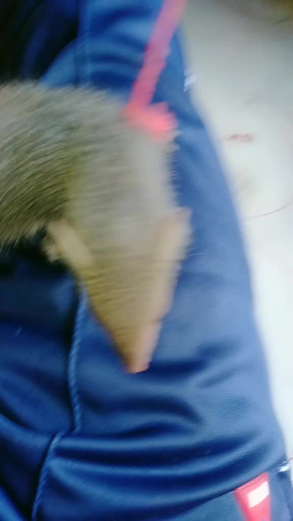 @___$øürãv___