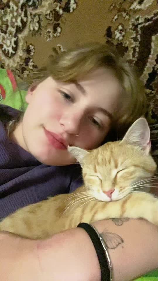 @usermeow