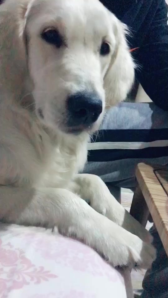 @Hilal Kök
