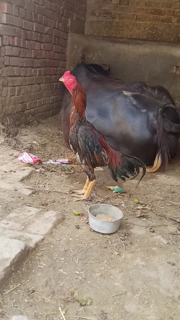 @user3359484626240
