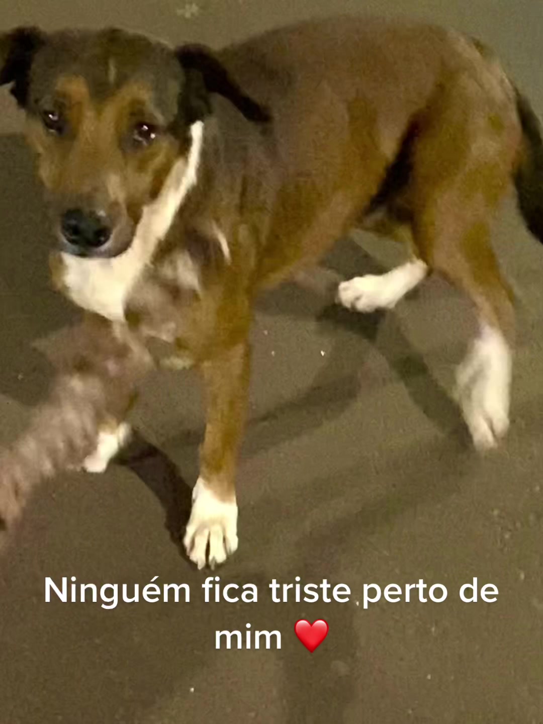 @Daniel Da Silva Adol