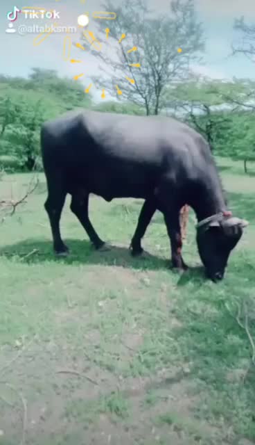 @user3564171534235