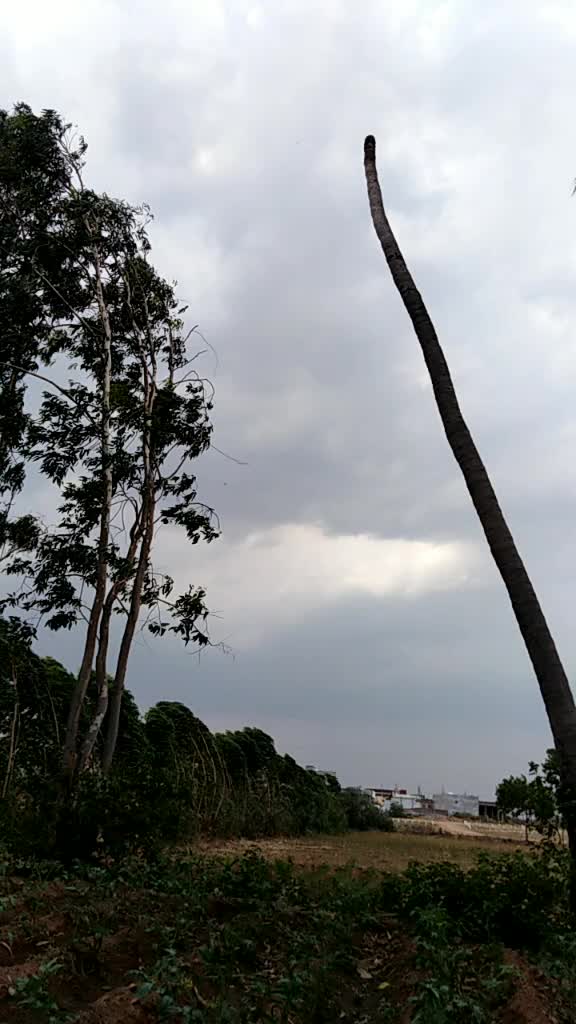 @Bandari Prasad