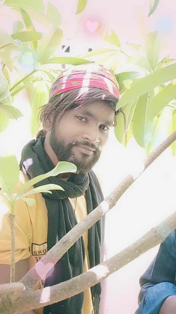 @jemsdil11