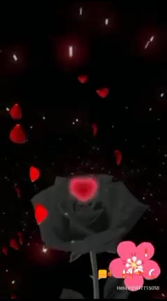 @🌺saranya🌺roja _143🌺