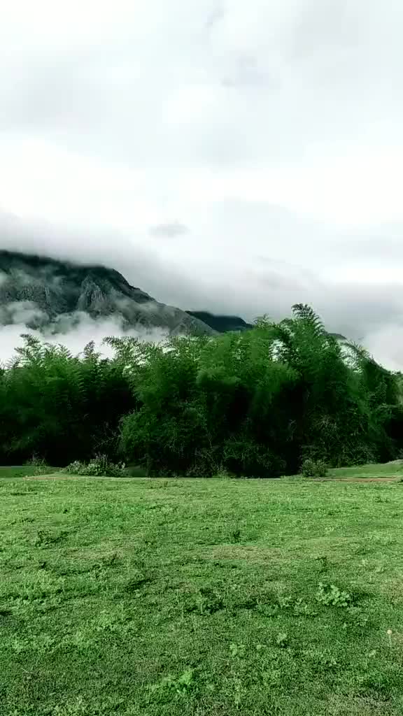 @பூமிராஜா