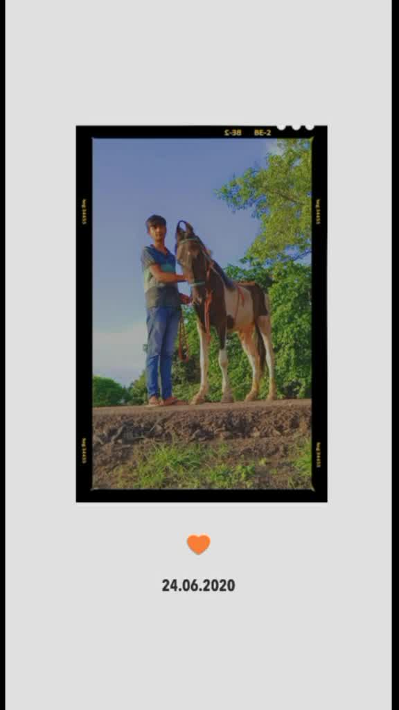 @mahavir shekhva 2