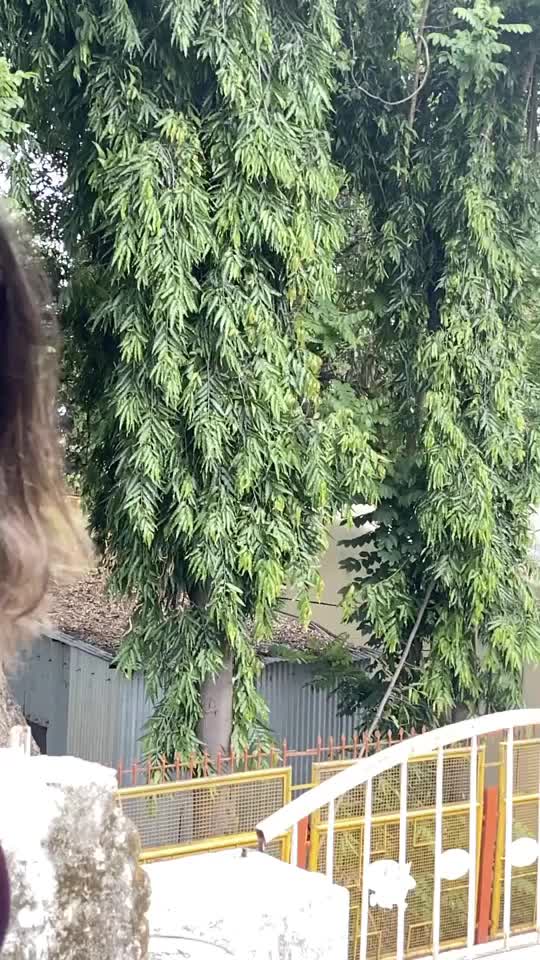 @Aditi Shinde