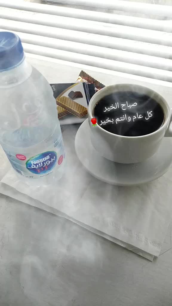 @منصور العامري