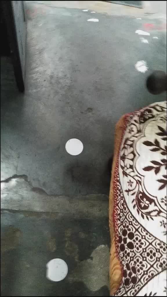 @piyush fulara