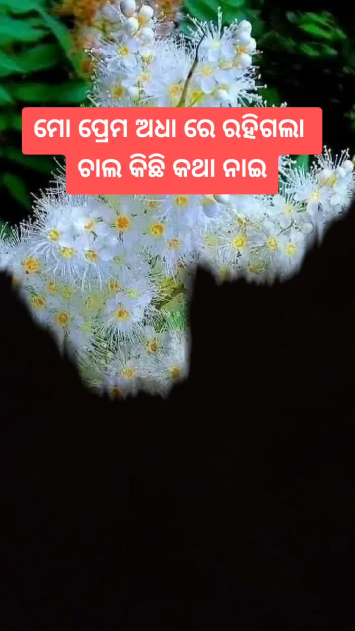 @s-a--d boy Ranjan