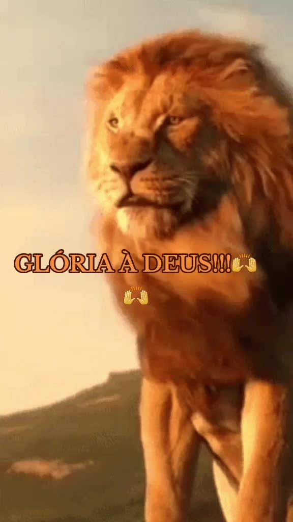 @rosileneoliveira546