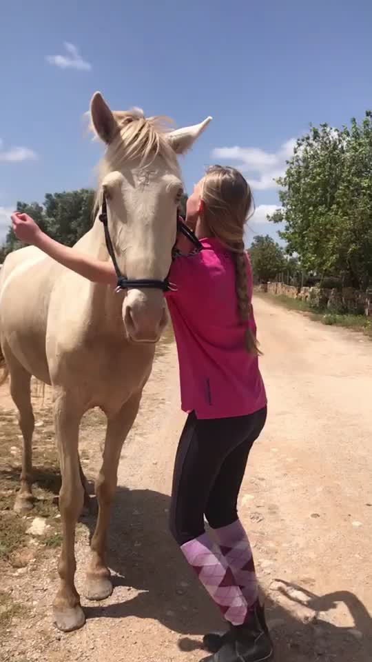 @🐴💎🥰