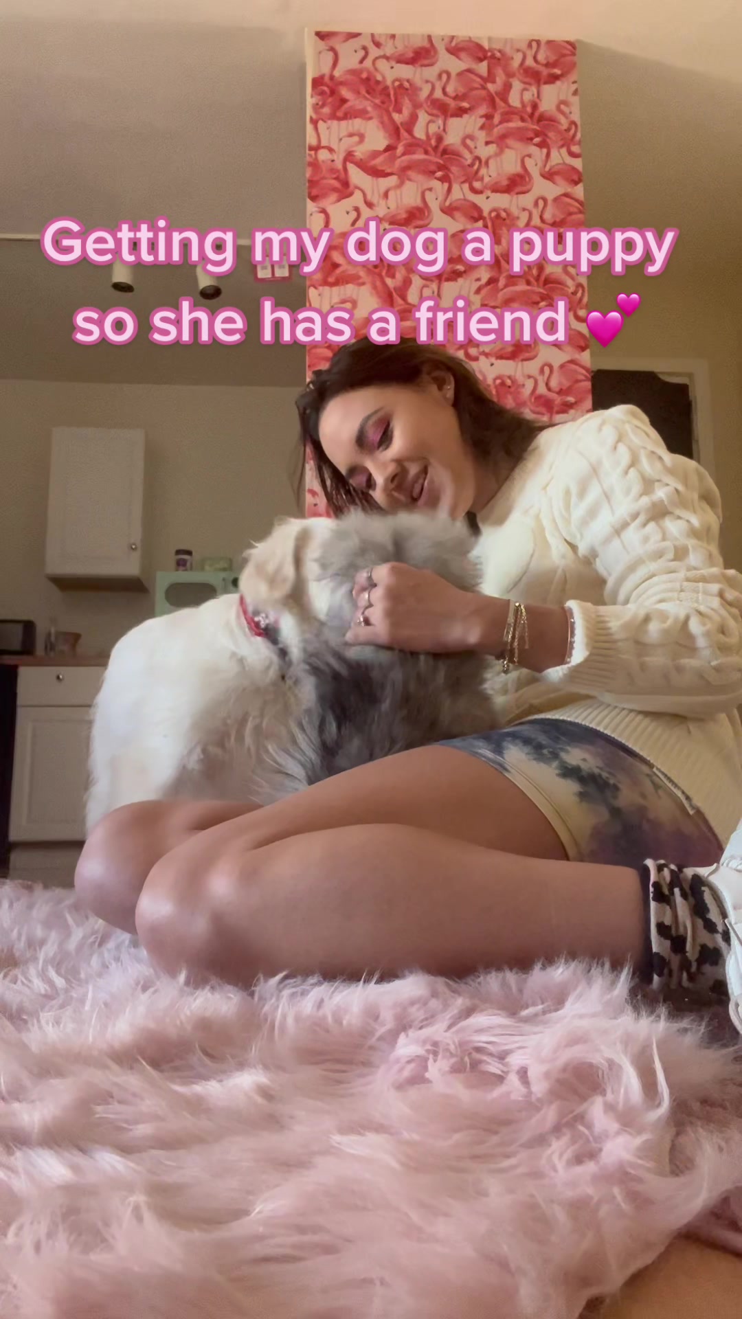 @axandra.cash