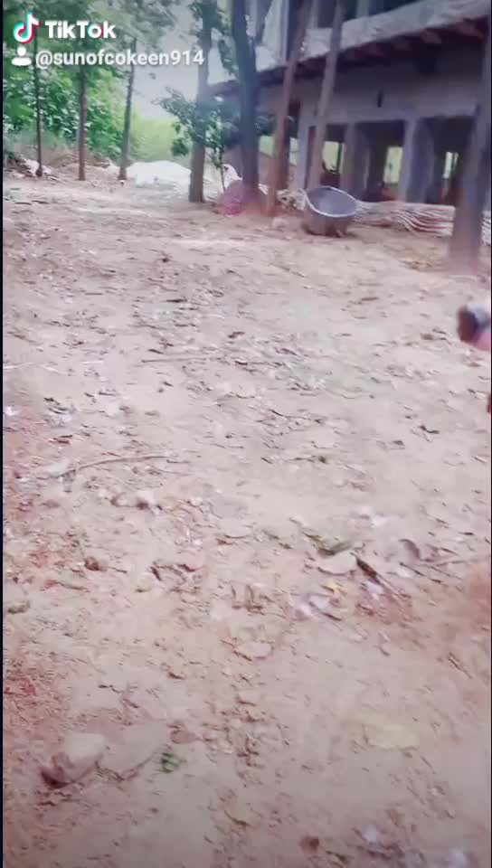 @San of Cokeen