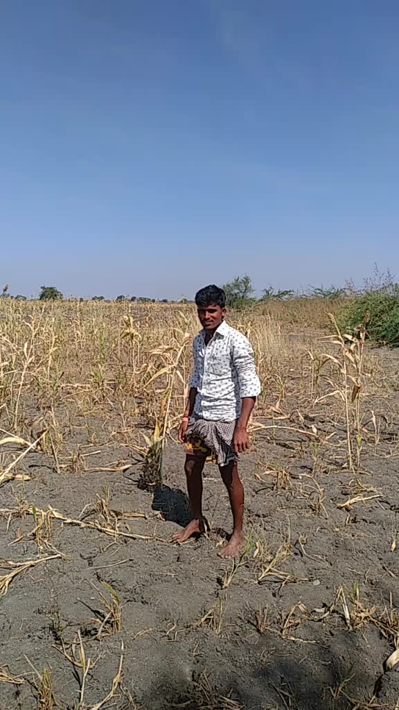 @user2406440361082