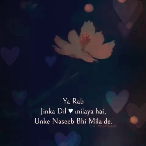 @@Heer