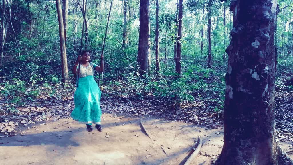 @neginantony