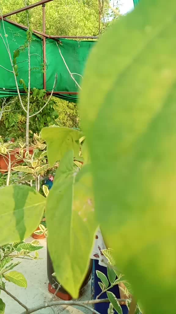 @Hariparvathy_^^°`®©
