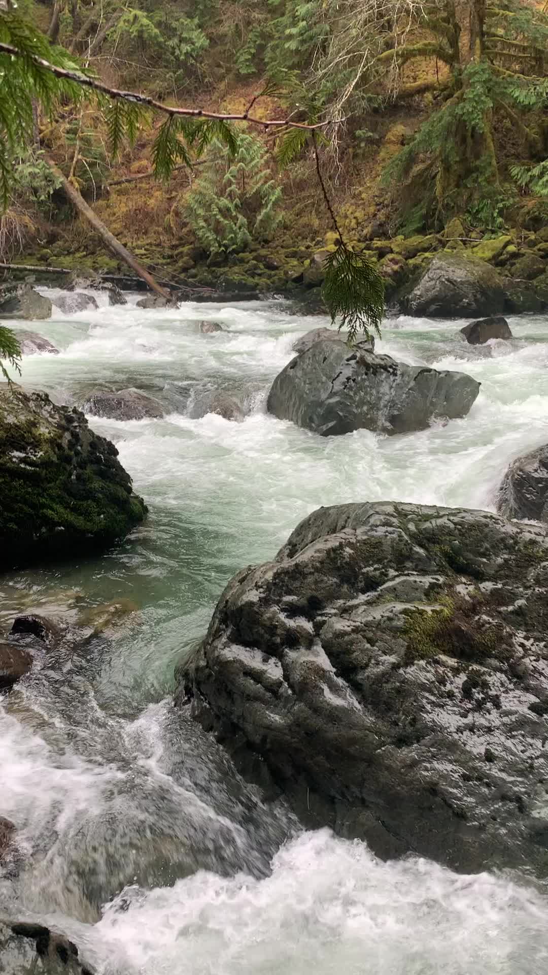 @PNW-Hikes