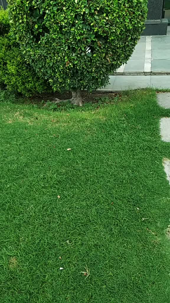 @shaileshmishra23