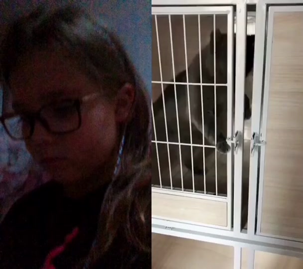 @🐱Hannah🐱