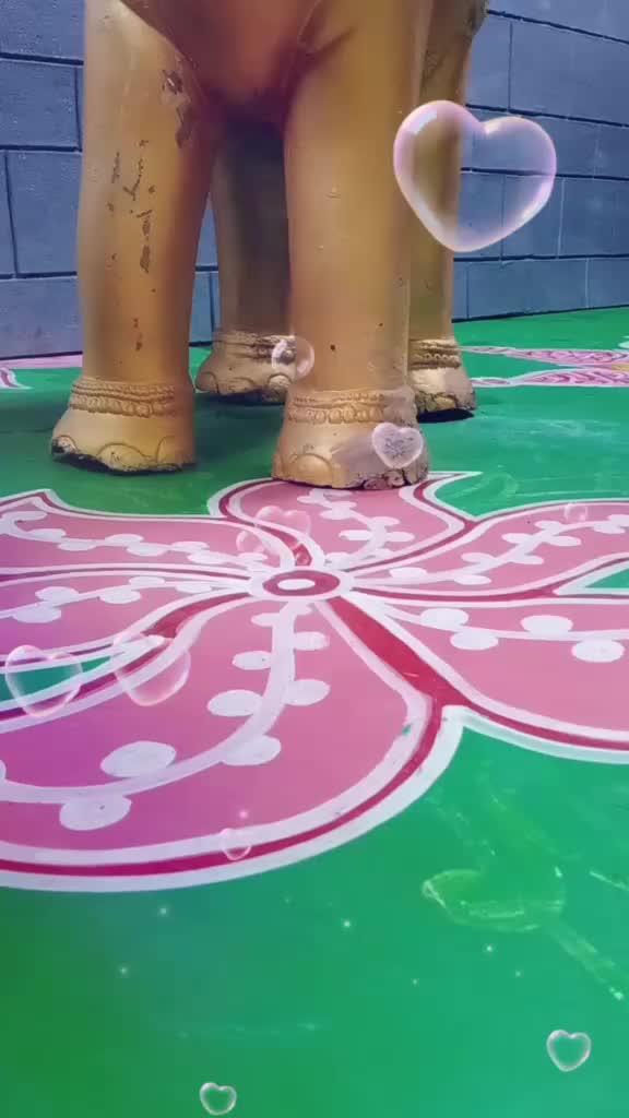 @user754360