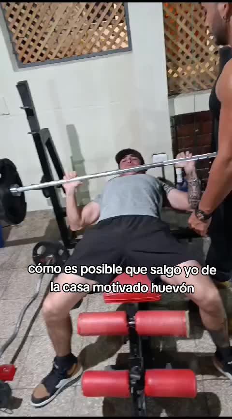 @Luisfer 🕷️