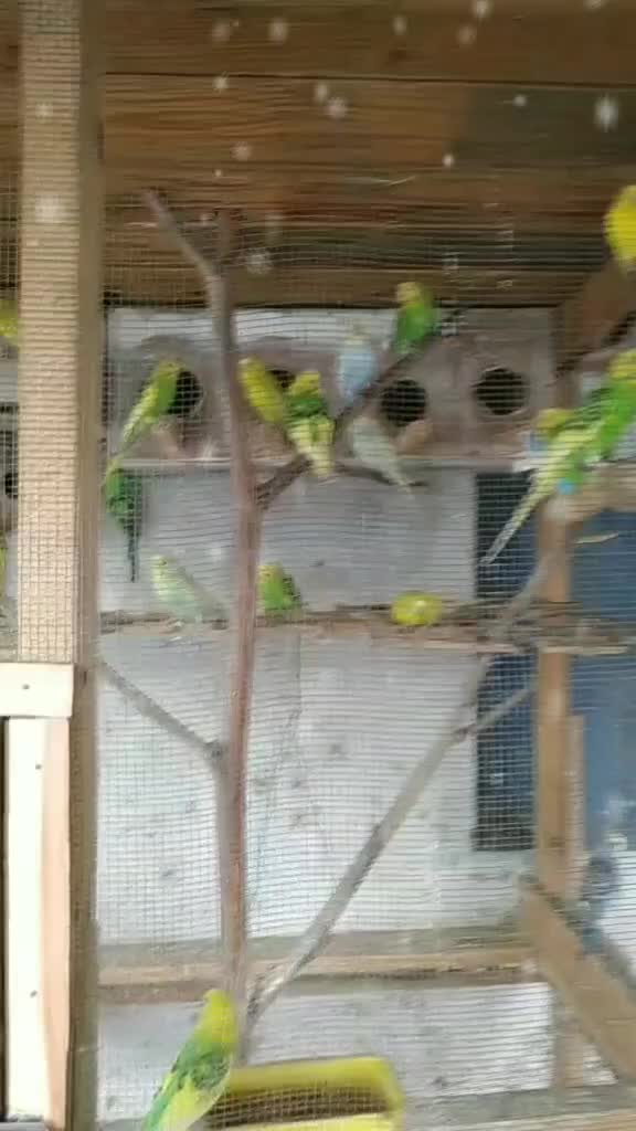 @💛ಕನ್ನಡಿಗ❤