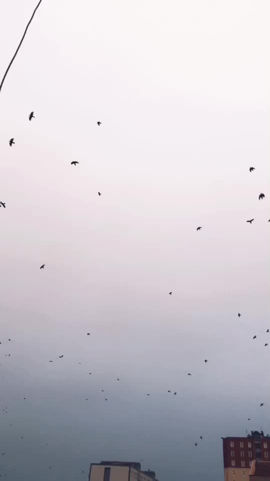 @Hayatalektamovik..:)