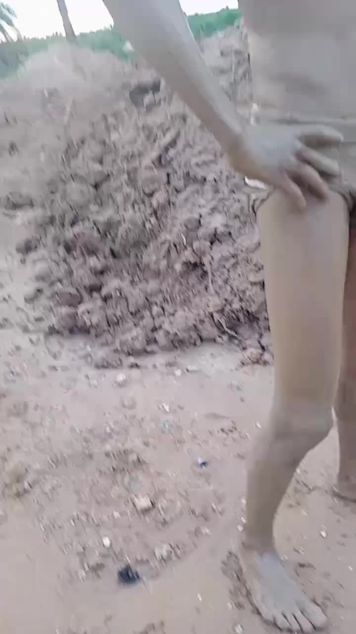 @solo Sam