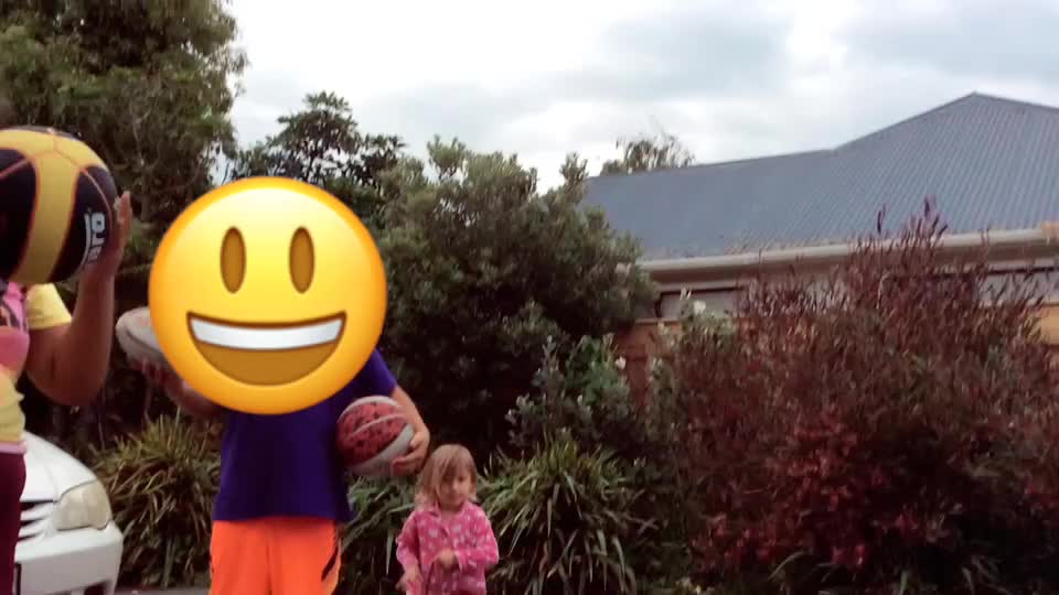 @Wiki Hokianga