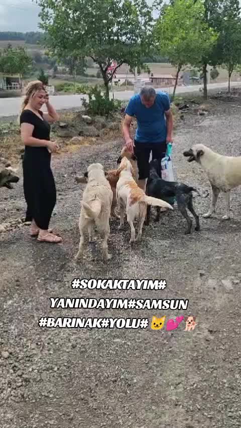 @UMUT BEKLEYEN PATİLER, 🐶💕🐱?