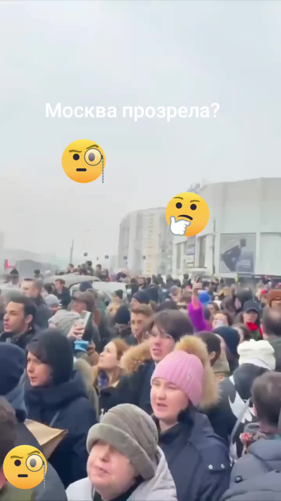 @haliina5