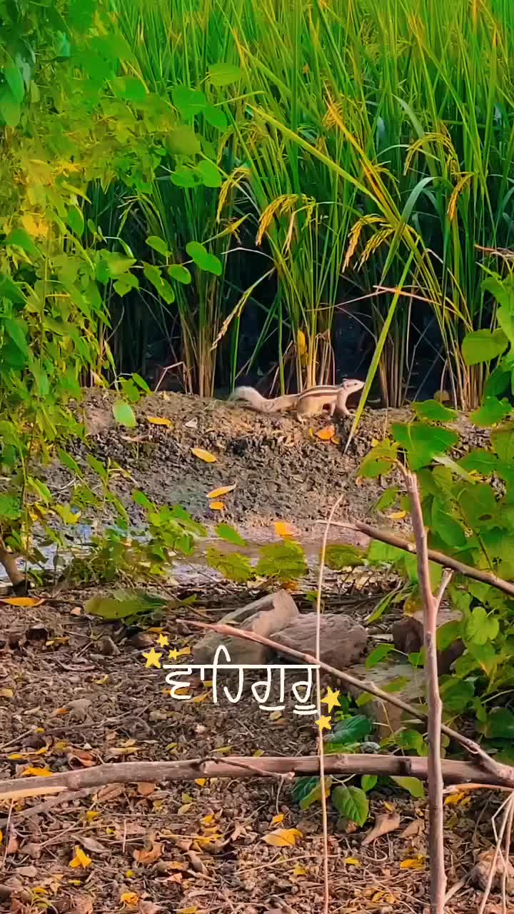 @official__sidhu7866