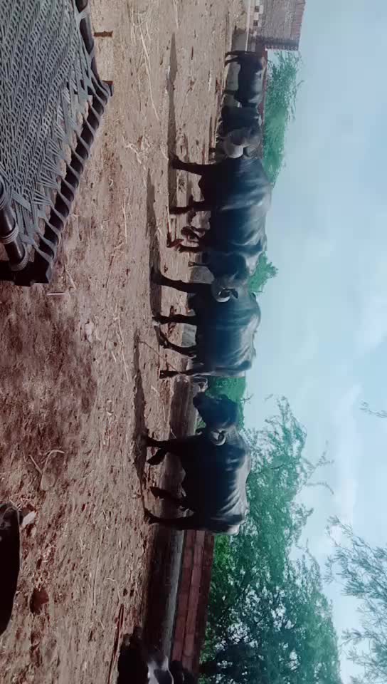 @કેશુભાઈ વાધેલા