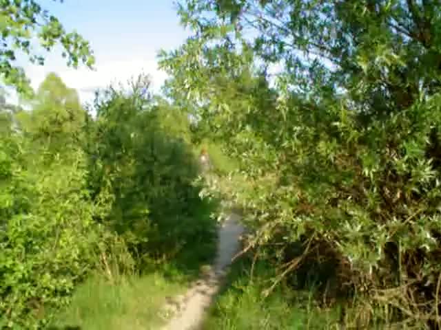 @damJan_PL