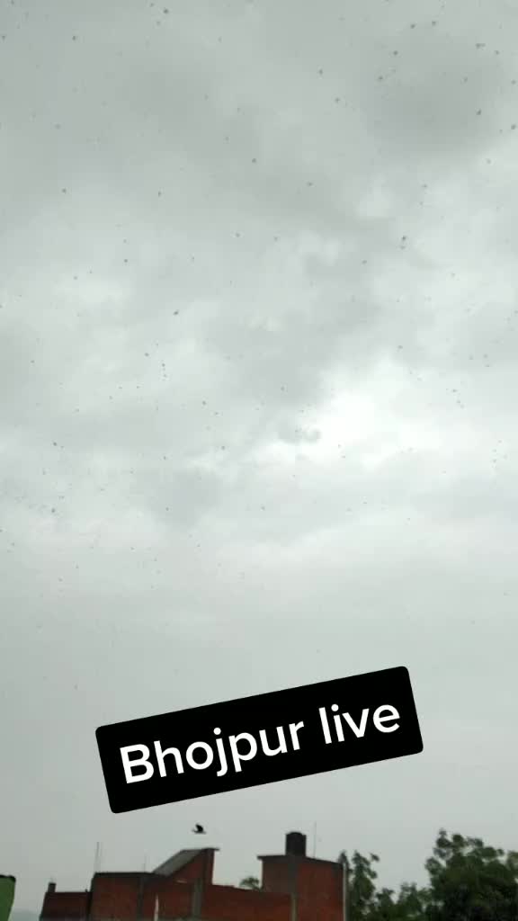 @Rida Khan