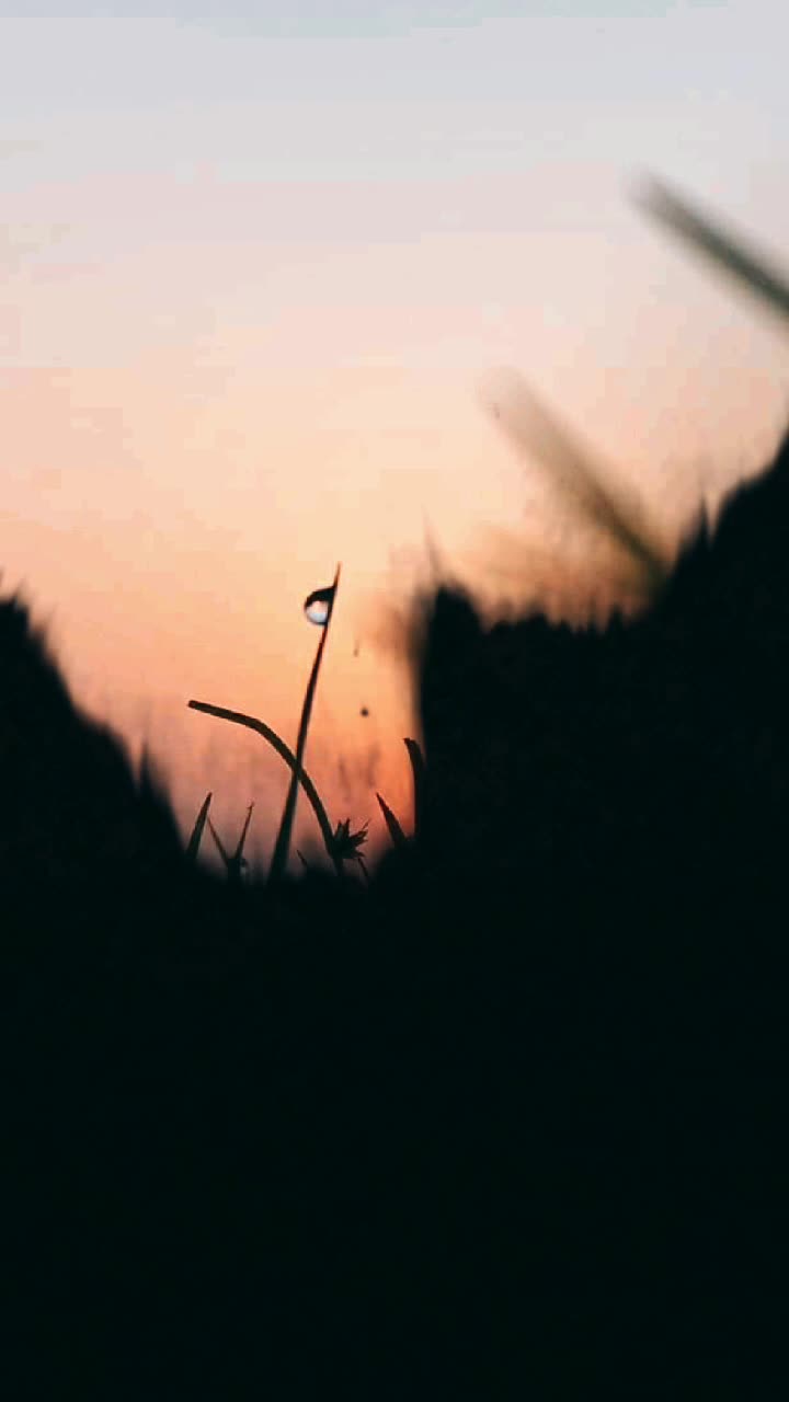 @@_soumya_das