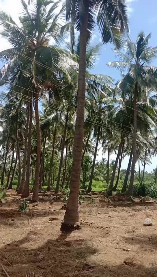 @Malarkumar