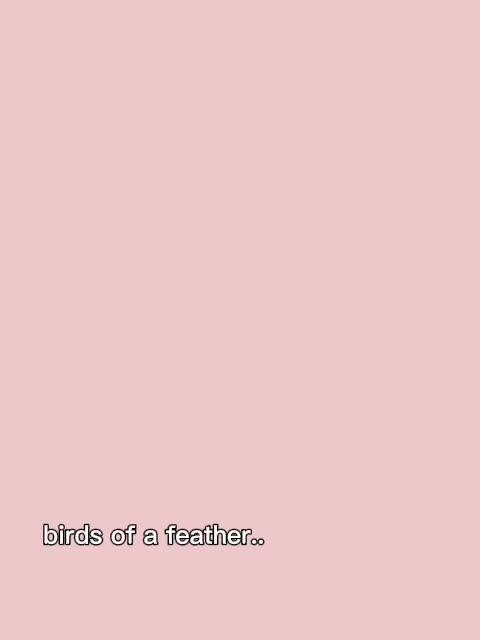 @user75528830641