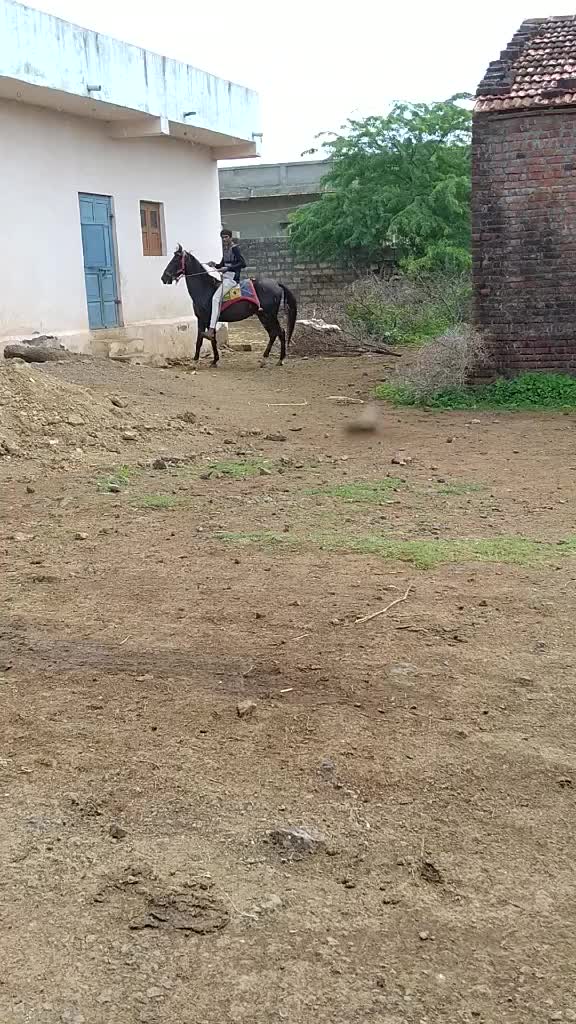 @🐴🐎નટખટ અષવાર 😉😁