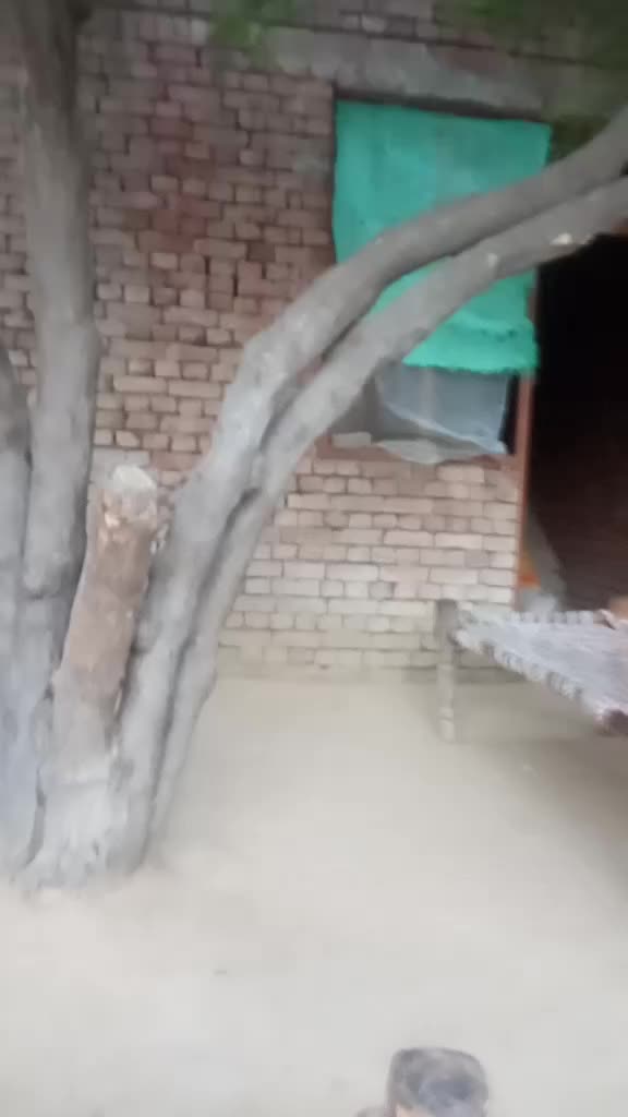 @Suraj Kumar