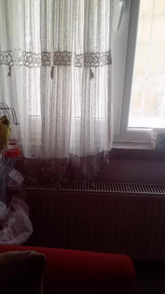 @İsim Yazılır