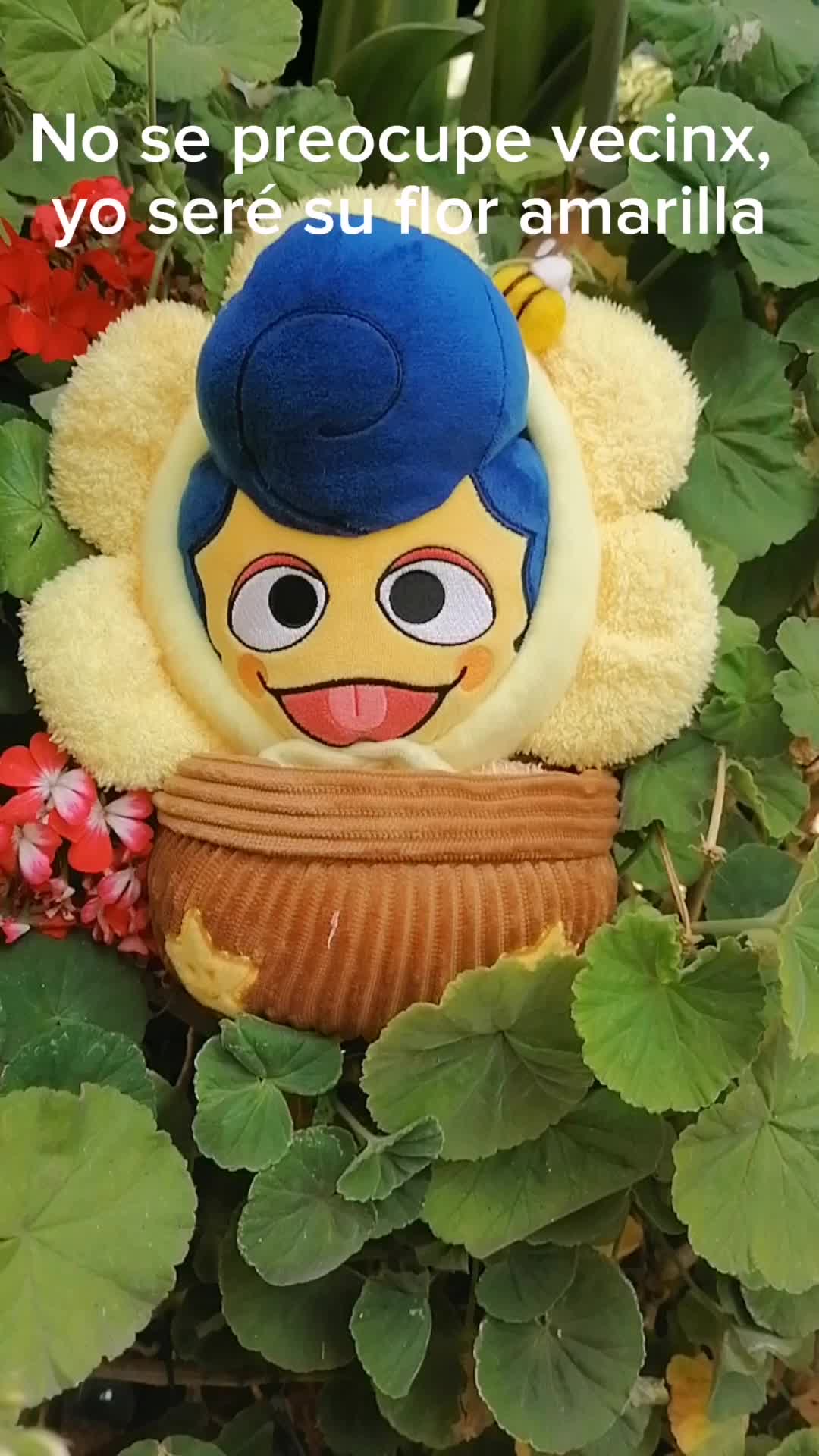 @☆彡・:*:・★彡・Nagareboshi・★彡・:*:・☆