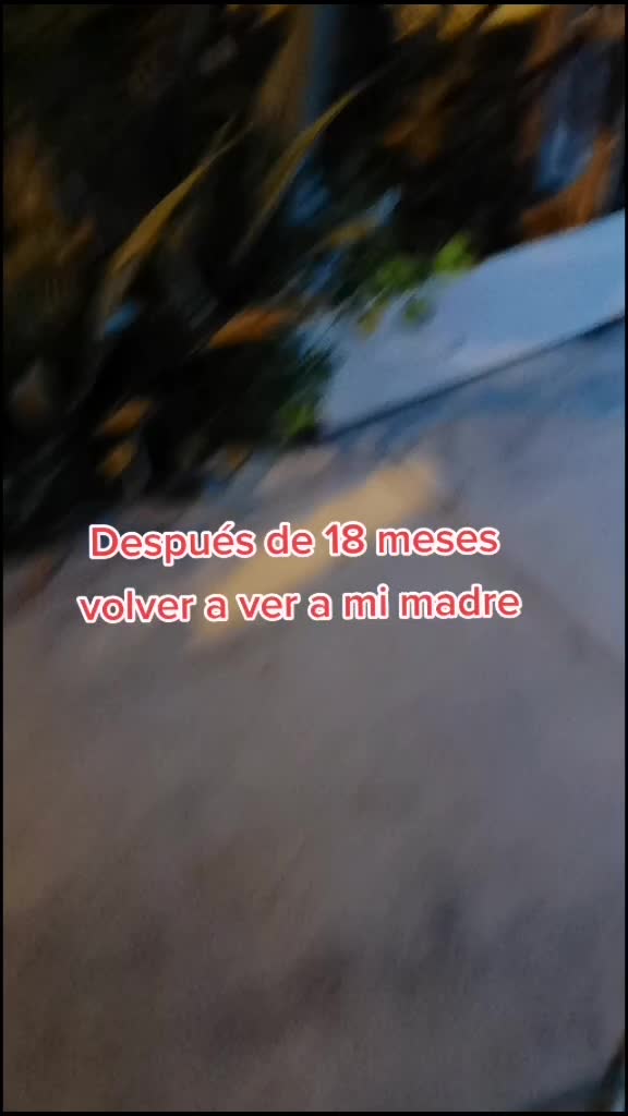 @elektralazorra